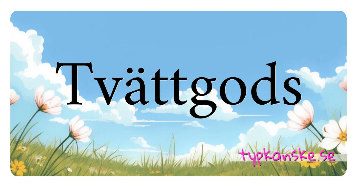 Tvättgods synonymer korsord betyder förklaring och användning