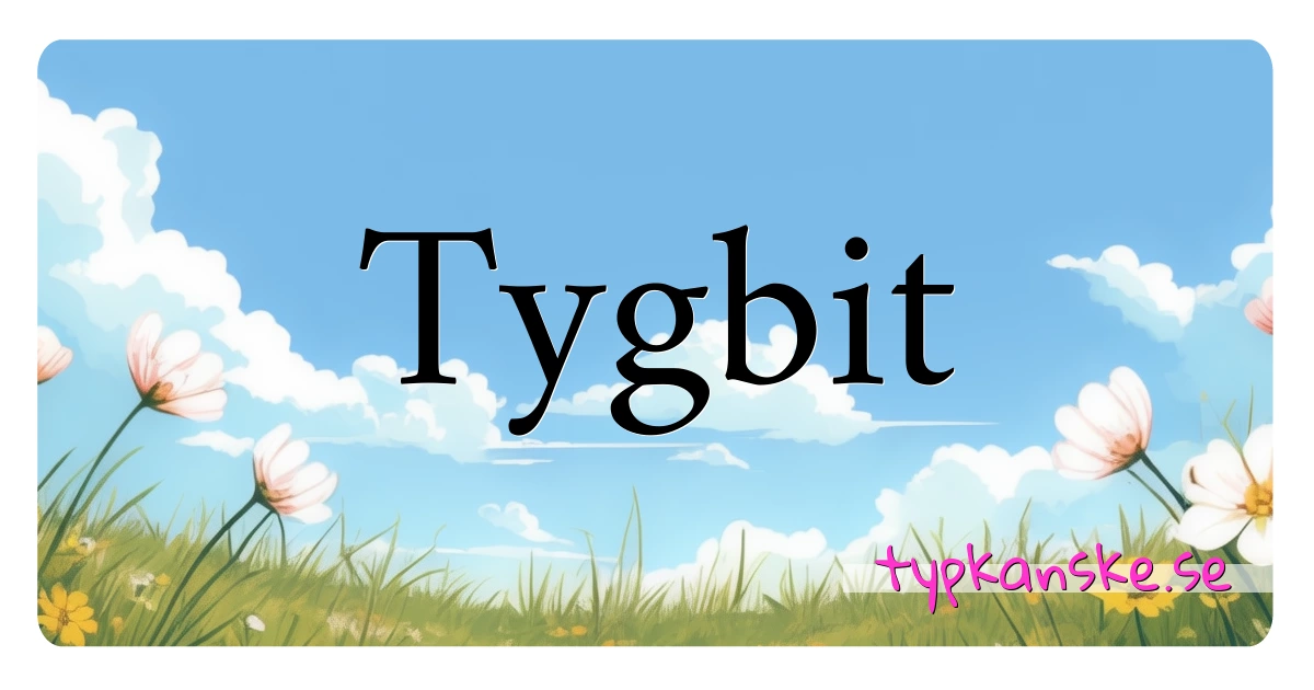 Tygbit synonymer korsord betyder förklaring och användning