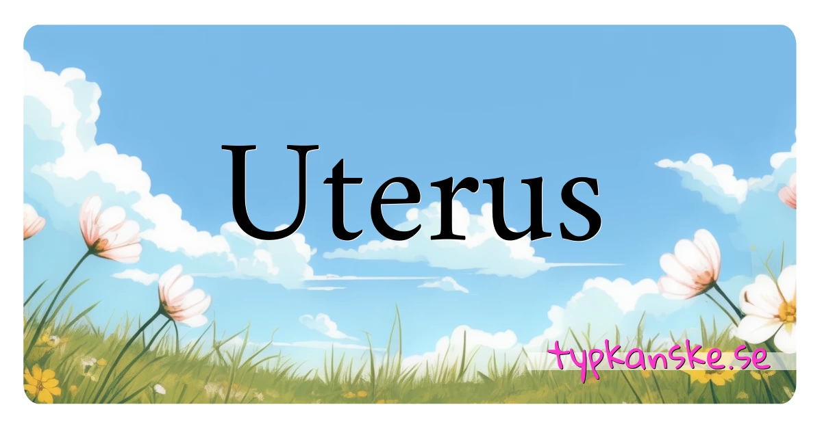 Uterus synonymer korsord betyder förklaring och användning