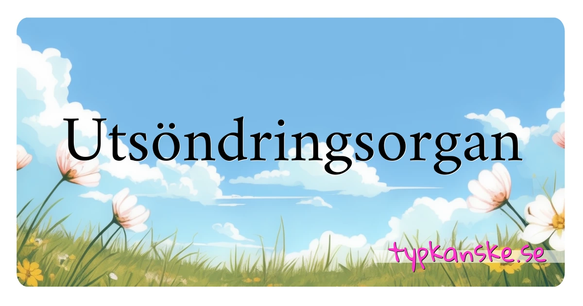 Utsöndringsorgan synonymer korsord betyder förklaring och användning