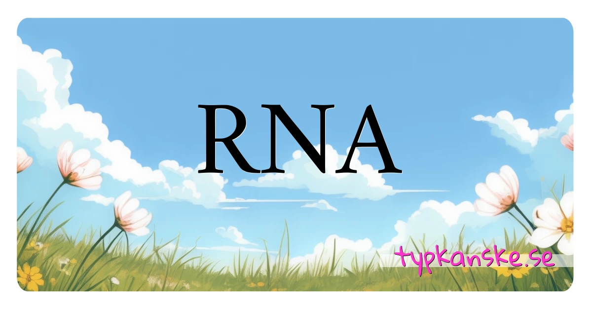 RNA synonymer korsord betyder förklaring och användning