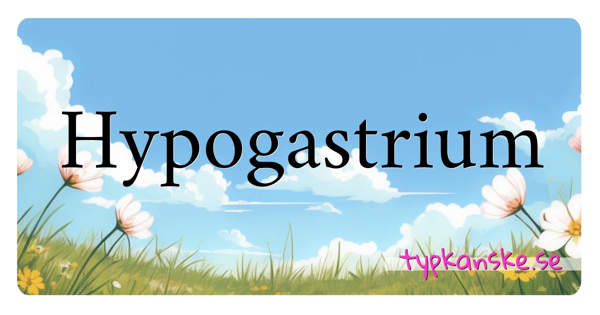 Hypogastrium synonymer korsord betyder förklaring och användning