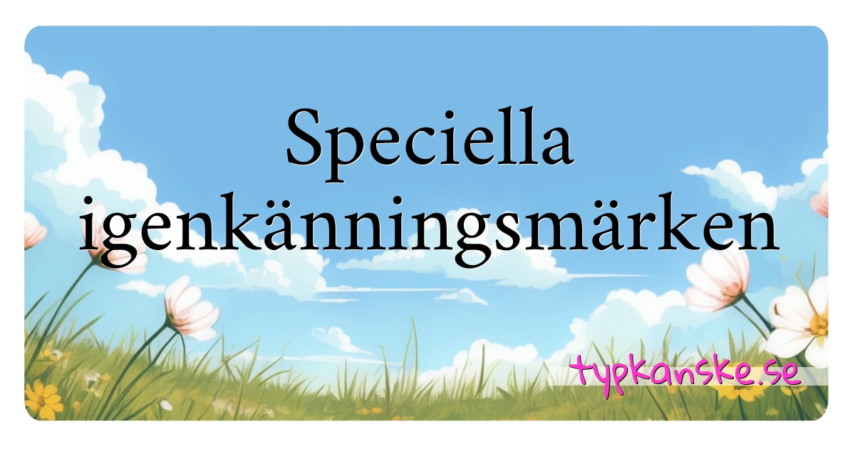 Speciella igenkänningsmärken synonymer korsord betyder förklaring och användning