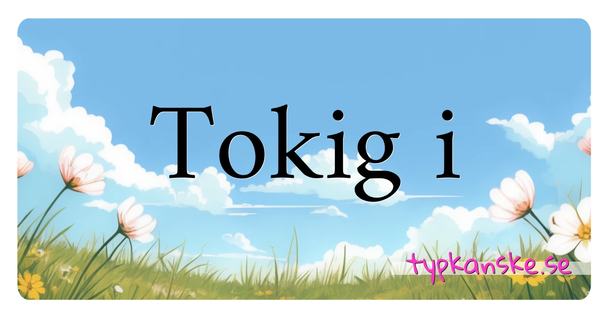 Tokig i synonymer korsord betyder förklaring och användning