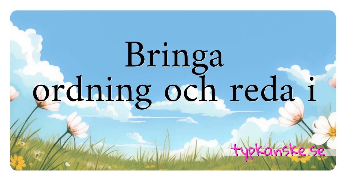 Bringa ordning och reda i synonymer korsord betyder förklaring och användning