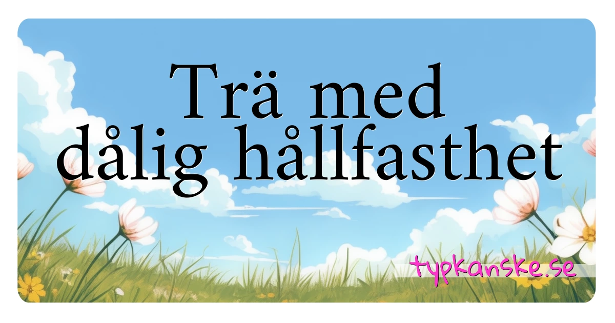 Trä med dålig hållfasthet synonymer korsord betyder förklaring och användning