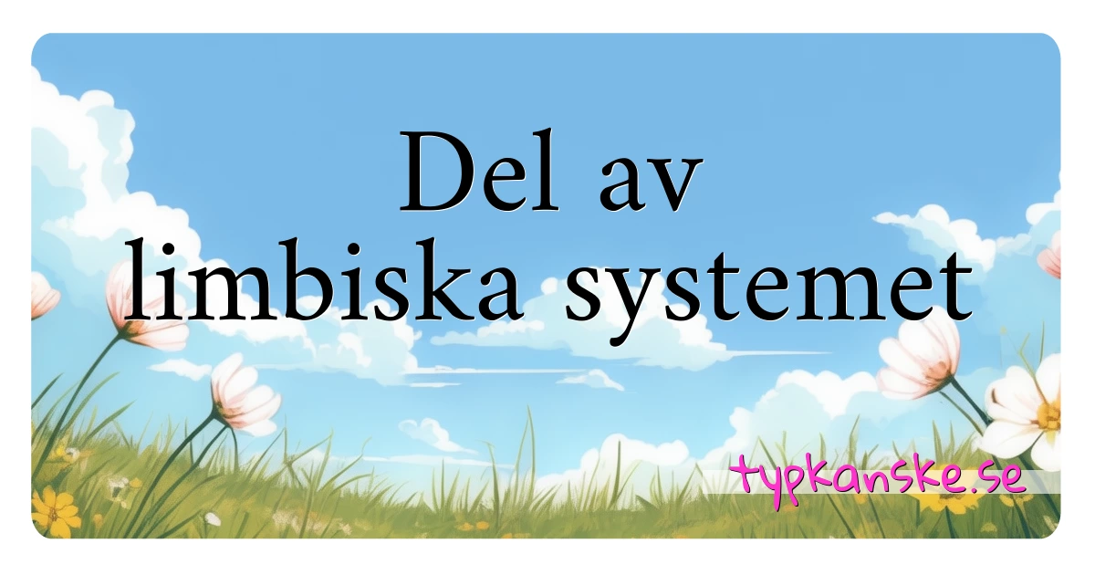 Del av limbiska systemet synonymer korsord betyder förklaring och användning