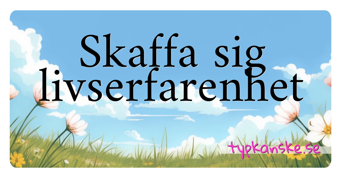 Skaffa sig livserfarenhet synonymer korsord betyder förklaring och användning