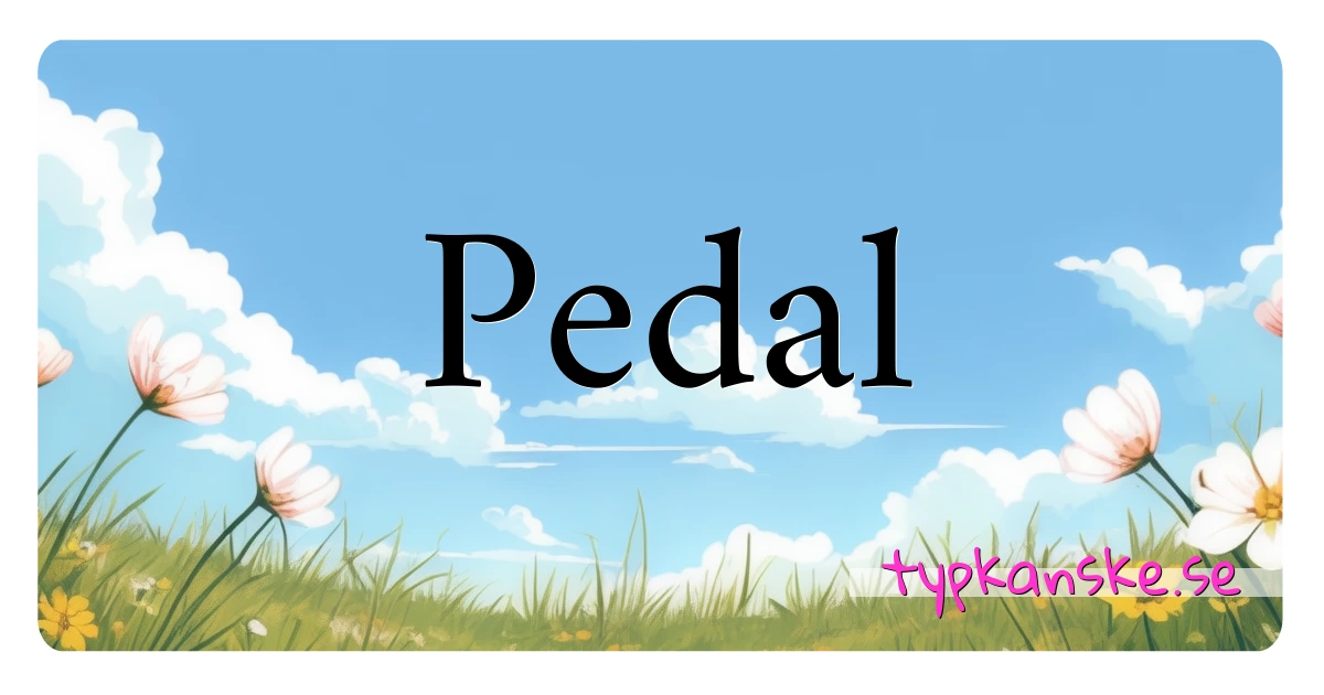 Pedal synonymer korsord betyder förklaring och användning