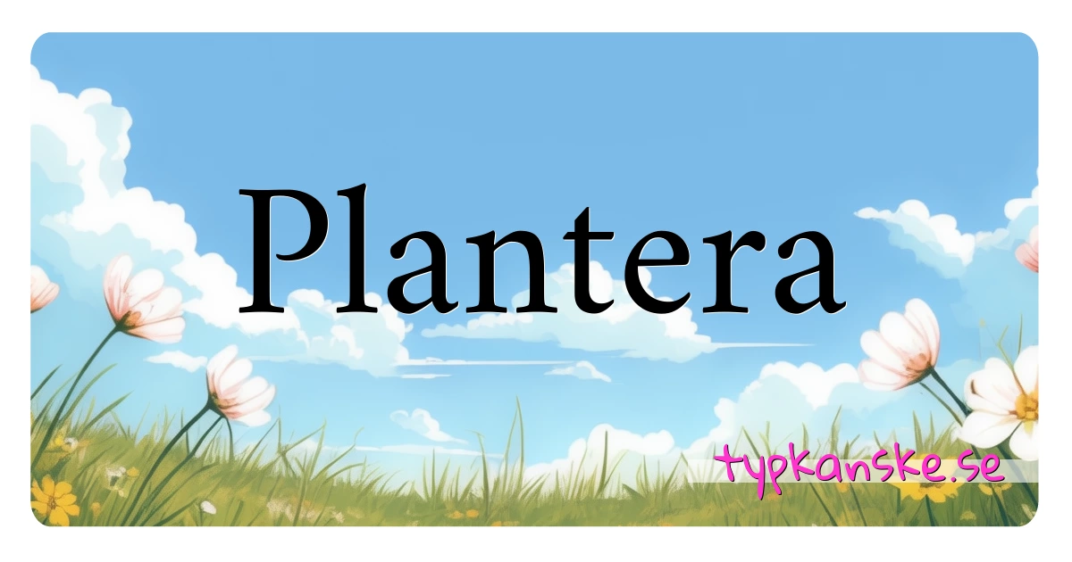 Plantera synonymer korsord betyder förklaring och användning