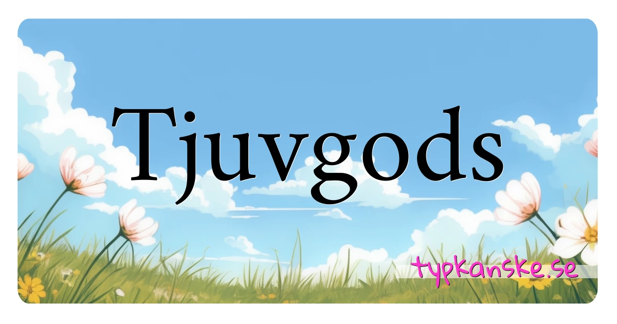 Tjuvgods synonymer korsord betyder förklaring och användning